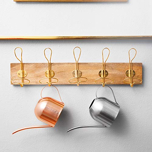 Homarden 30oz Metal Indoor Outdoor Plant Watering Can for House Plants (Copper Color)