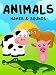 Animals - Animals Names and Sounds - Animals For Kids