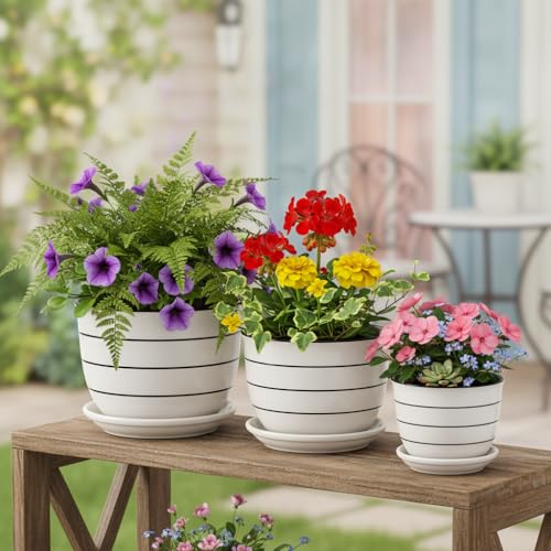 Image of Xtore Elegant Striped Ceramic Planter Set of 3 with Drainage Trays | Minimalist Indoor Plant Pots for Home, Office, Balcony & Tabletop Styling (Pack of 3 - Planter only)