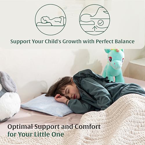 Image of The White Willow Soft Memory Foam Pillow for Kids - Slim Design for Ages 1-5, Lightweight & Breathable with Sky Blue Cover