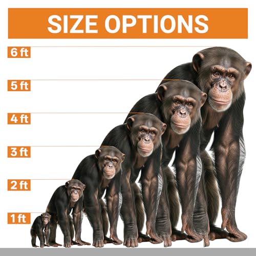 Image of Gorilla 3FT Life Size Cardboard Cutout, 1 PC, for Party Decor | Fun Animal Cardboard Standup for Events, Birthday, Photos, Party Decorations, Holiday Themed Gatherings, Photo Booth Props
