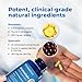 VitaMedica Bromelain & Quercetin Supplement - 500mg Bromelain 250mg Quercetin - 2400 GDU for Immunity, Joint Support, Inflammation and Muscle Recovery - 60 Vegan Capsules - 30 Servings