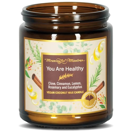 Natural Candle Made from 100% Handmade Coconut Wax with No Soy, Beeswax or Paraffin - Vegan Clean Burning Non Toxic Candles for Home - Scented Candles for Home – Hollistic Blend Candle Jar, 8 oz