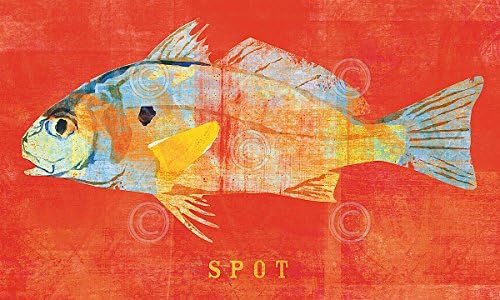 Spot by John W. Golden Animal Fish Poster (Choose Size of Print ...