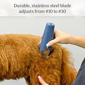 Oster® professional fast feed® cordless pet clippers blue for dogs   cucciolini doodles
