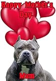 american pit bull terrier dog nmd22 - biglietto di auguri per la festa della mamma, personalizzabile