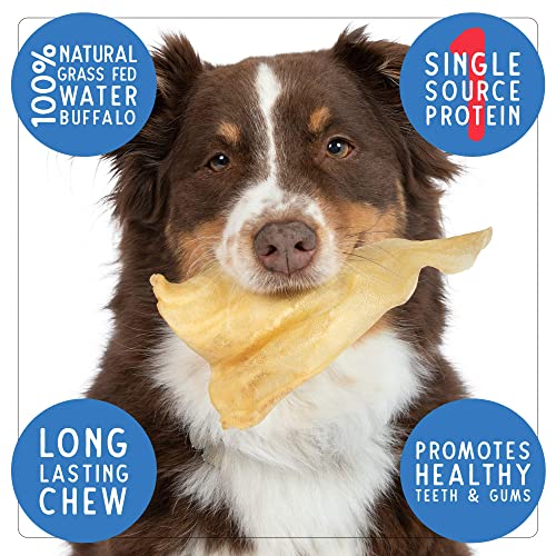 Pet Craft Supply Pure Natural Grass Fed Water Buffalo Ear Value Free Range Durable Tough Dog Chew and Treat for Aggressive Chewers and Puppies, 16 Count (Pack of 1) Pet Craft Supply Pure Natural Grass Fed Water Buffalo Ear Value Free Range Durable Tough Dog Chew and Treat for Aggressive Chewers and Puppies, 16 Count (Pack of 1)