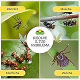 Albagarden B0B1MM1KYB lato 4