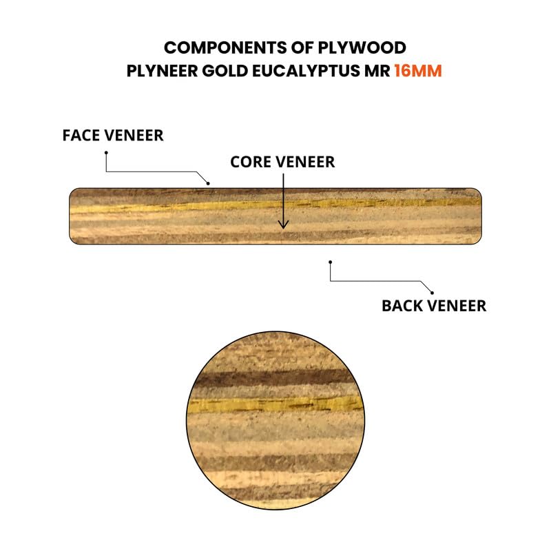 Image of Plyneer Gold Eucalyptus MR Plywood - Premium Okuma Wood for Furniture, Cabinets & Ceilings (16mm)-7ft x 4ft