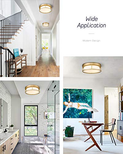 Caldion Led Ceiling Light Fixture, 12 Inch 24W 950Lumens Flush Mount Light Fixture, Dimmable 3000K, Gold Finish With Opal Frosted Glass, Round Close To Ceiling Lights For Bedroom, Kitchen 6871Lfm-Gd #TOP4