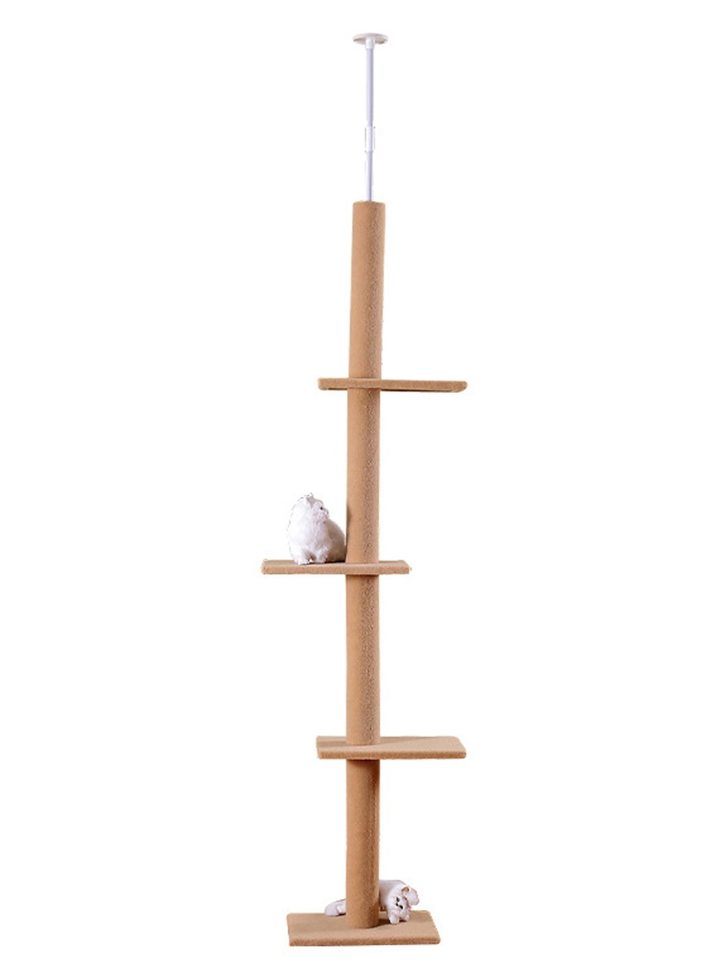 cat climbing toys