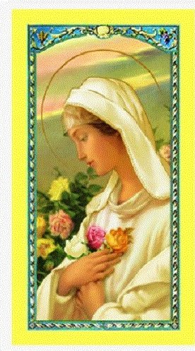 Gifts by Lulee, LLC Mystic Rose Rosa Mistica 2 Prayer Candles Prayer in English and Spanish Available Candle Only OR with Laminated Prayer Card