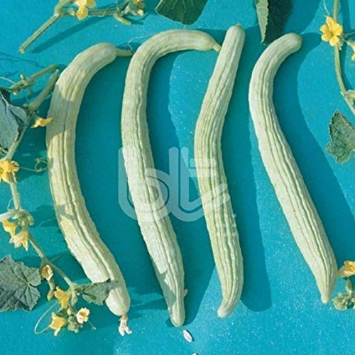 Verimli Turşuluk Geleneksel Anadolu Acur (50 g)