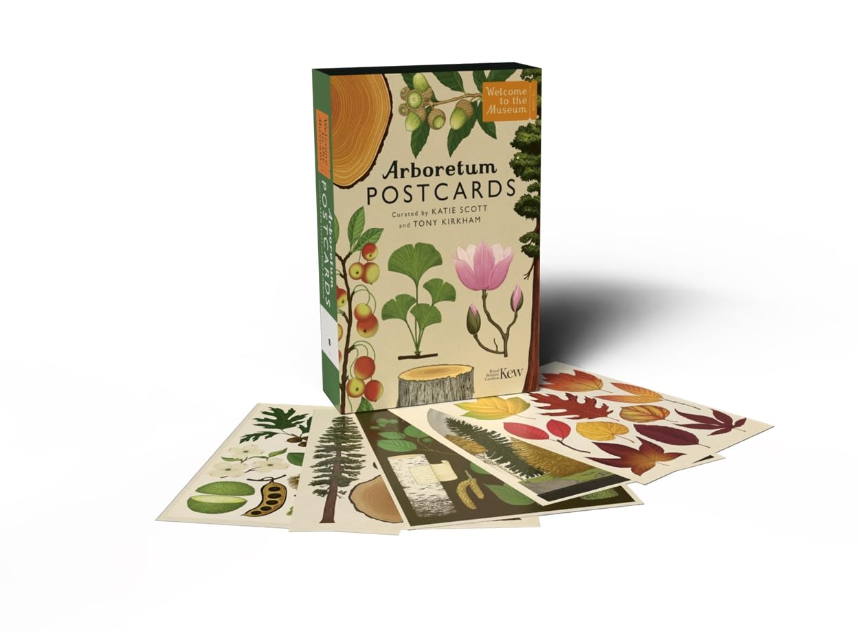 Arboretum Postcards: by illustrator Katie Scott (Welcome To The Museum)
