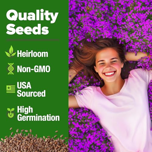 Image of HOME GROWN Purple Creeping Thyme Seeds Non-GMO Ground Cover Flowers 22000+ Edible Herb Seeds for Planting Lawns & Paths 3g Perennial Thymus serpyllum