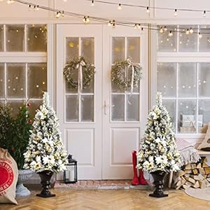 Goplus 4ft Flocked White Christmas Tree for Entrances, 2 Pack Pre-lit Artificial Xmas Tree w/Warm White 100 LED Lights, Flowers & White Berries in Black Urn Base, Porch Festival Holiday Decoration Goplus 4ft Flocked White Christmas Tree for Entrances 2 Pack Pre lit Artificial Xmas Tree wWarm White 100 LED Lights Flowers White Berries in Black Urn Base Porch Festival Holiday Decoration