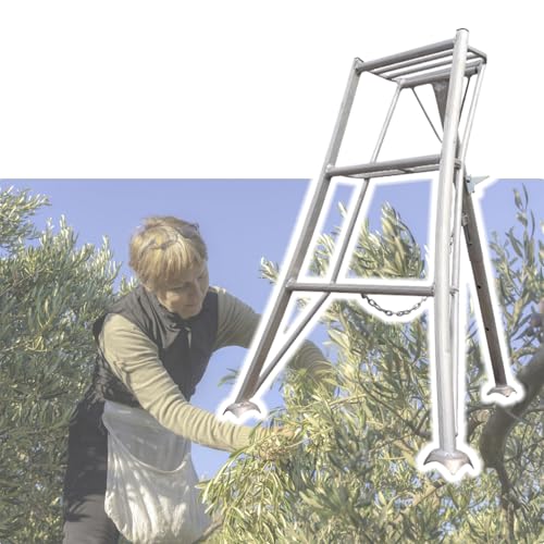 Tripod Fruit Picking Ladder - Adjustable Height Orchard