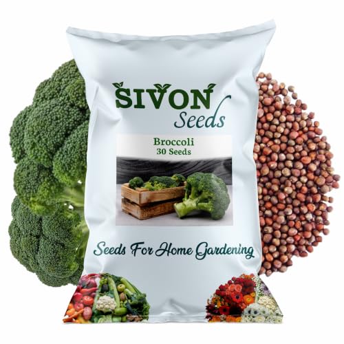Image of SIVON Broccoli (30 Seeds) Exotic Vegetable Seeds for Home Garden, Organic & Hybrid, Perfect for Home Gardening, Planting For Pots and Patio