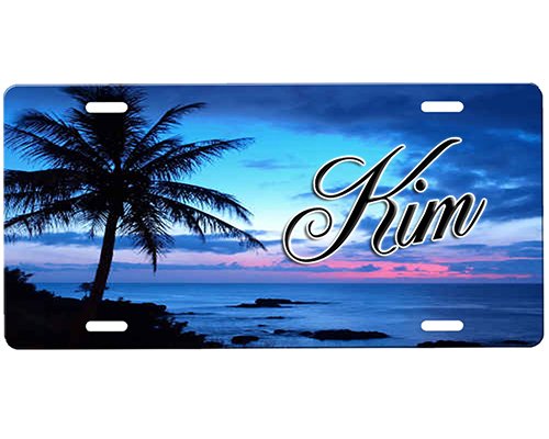 onestopairbrushshop Beach Scene License Plate onestopairbrushshop Beach Scene License Plate