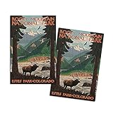Estes Park, Rocky Mountain National Park, Colorado, Elk (4x6 Birch Wood Postcards, 2-Pack Stationary, Rustic Home Wall Decor)