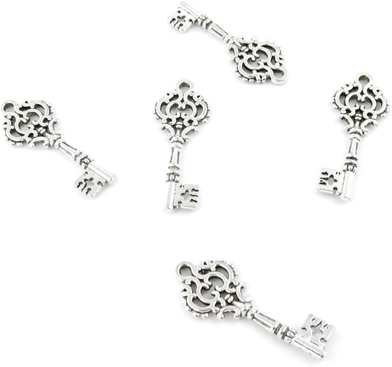 240 Pieces Antique Silver Fashion Jewelry Making Charms Findings IRZV0 Flower Key Crafting Bulk Accessoires for Pendant Necklace Bracelet
