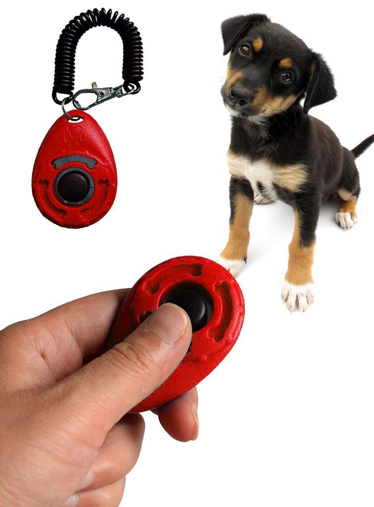 Pet Training Clicker with Wrist Strap and Strap Hook for Dog/Cat/Kitten/Puppy/Bird (B08W8J86PX) Amazon Price History, Amazon Price Tracker