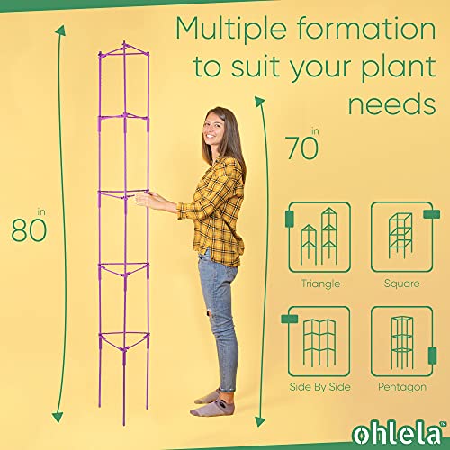 Large Tomato Cages For Garden - 6.5Ft (Up To 80 Inches) Heavy Duty Tomato Cages For Vine, Vegetables, Fruits & Flowers With Adjustable Stake Arms - Tomato Stakes With 20Pcs Plant Clips #TOP2
