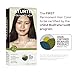Naturtint Permanent Hair Color 4WN Radiant Nature Brown Glamour (Pack of 1), Ammonia Free, Vegan, Cruelty Free, up to 100% Gray Coverage, Long Lasting Results (Packaging may vary)