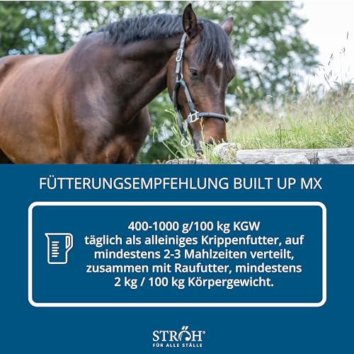 STRÖH Küsten Build up MX (30 kg Feedbox) • Hochwertiges Aufbaumüsli • Ideal für Sport- & Turnierpferde • Pferde Müsli mit Vitamin E, A, B12, D3, Biotin, etc. • Pferdefutter Müsli