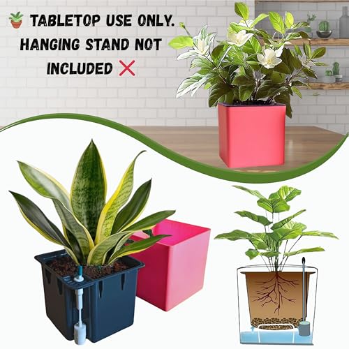 Image of Indian Discovery Self Watering Tabletop Planter| Flower Pots for Home, Terrace, Balcony, Garden Decor Flower Pots(1 PC, Baby Pink, Square) |6 Inch UV-Resistant Plastic Plant Pots