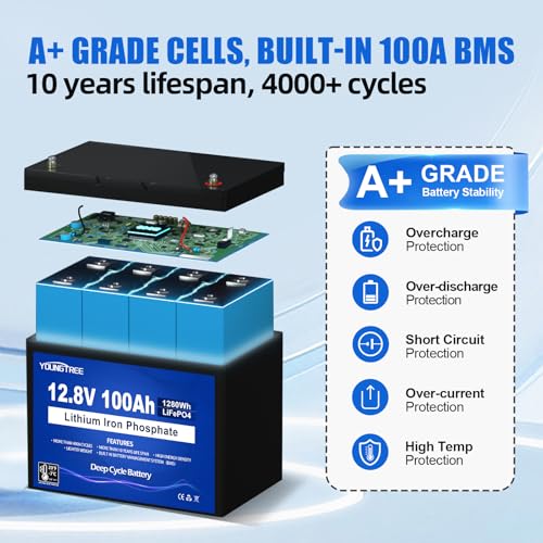 YoungTree 12V 100AH LiFePO4 Lithium Battery with Low Temperature Protection, Deep Cycle Group 24 LiFePO4 Battery Built in 100A Smart BMS, Suit for Trolling Motor, RV and Solar System