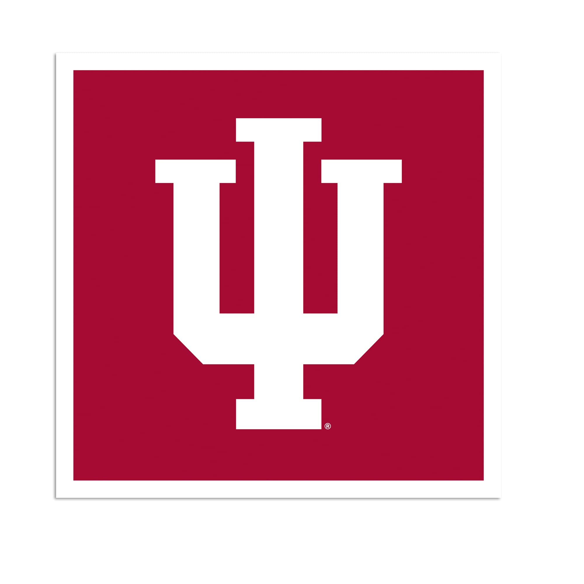 Rico Industries NCAA Indiana Hoosiers Standard 35