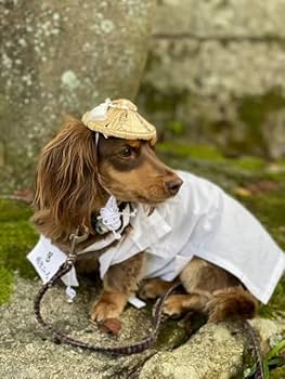 Amazon | ペット用お遍路＆霊場巡礼白衣 白衣三点セット | hana