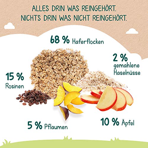 Milupa Kinder-Porridge – Hafer- & Früchtebrei ab dem 10. Monat bis 3 Jahre, Babynahrung, 1x 400 g (Packung mit 2)