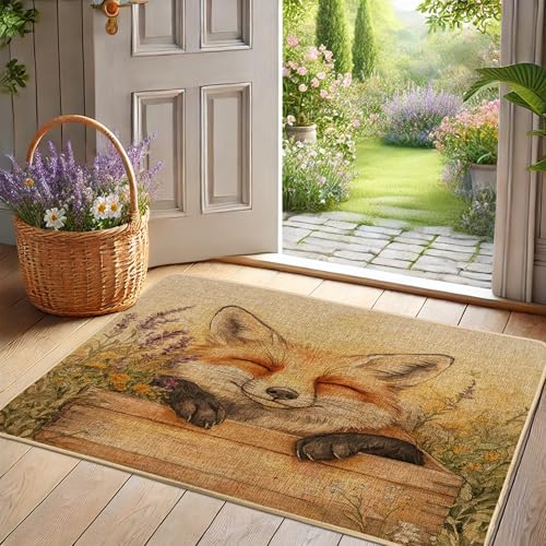 Paillasson renard d'automne - Paillasson renard orange pour entrée extérieure et intérieure - Décoration rustique - Respectueux de l'environnement -...