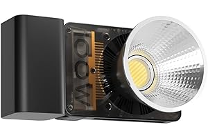 CINEPEER CX100: Professional-Grade Bi-Color LED Video Light