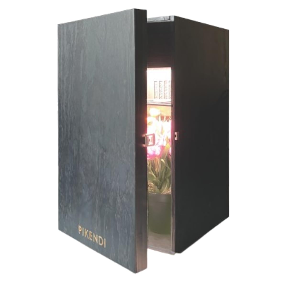 Pikendi Mini Grow Box Premium, Equipo Completo con Filtro de Carbón Silencioso y LED 35 W, Armario de Madera Hecho a Mano, Cultivo Interior Compacto y Discreto Sin Olores