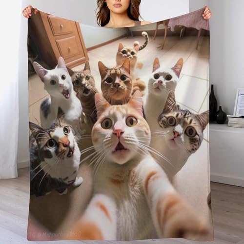 Manta de gato para sofá y tardes de películas en el sillón de casa 2