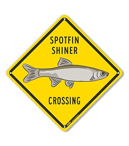 Panneau aluminium Spotfin Shiner Crossing jaune anticorrosion 25,4 cm