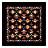 Hav-A-Hank Southwestern 22' Bandannas, Made in USA, 22'x22' (Apache)