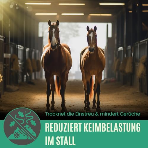 C44-Zittau Premium Futterkohle 0-3 mm für Pferde – 100% natürlicher Futtermittelzusatz für Verdauung, Stallhygiene, Geruchsbindung, Güllequalität & Darmflora – Made in Germany (10L)