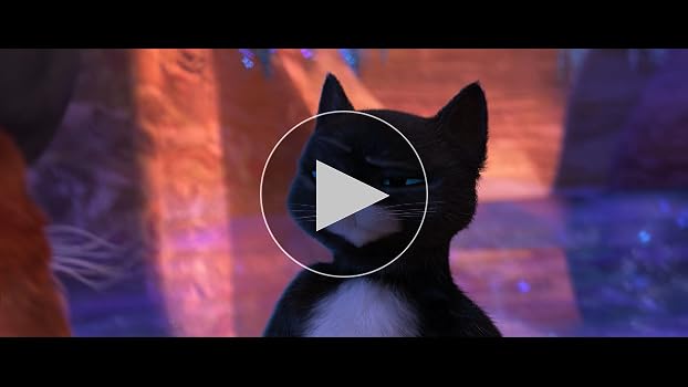 Puss in Boots: The Last Wish - Collector Edition Bilingual DVD