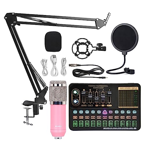 Kit de carte son BM800 V10XPro Mixer Carte son Studio Audio Mixer Chant Réduction du bruit Microphone Voix Diffusion en direct Téléphone Enregistrement sur ordinateur Configuration du studio pour l'