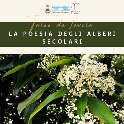 La poesia degli alberi secolari Titelbild