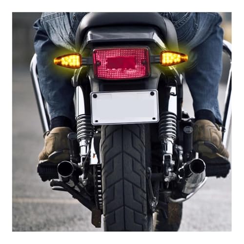 Intermitentes moto LED delanteros para solucionar fallos de luz de giro 12V 5