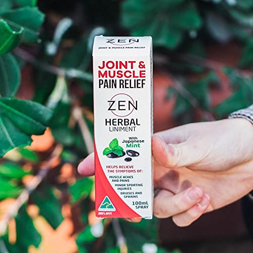 Herbal Zen/linimento antidolorifico, 100 ml