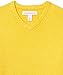 Amazon Essentials Men's Long-Sleeve Soft Touch V-Neck Sweater, Yellow, X-Large