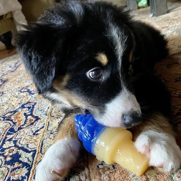 Cool Pup Cooling Toy (Ice Cream (Mini), Blue) image 5