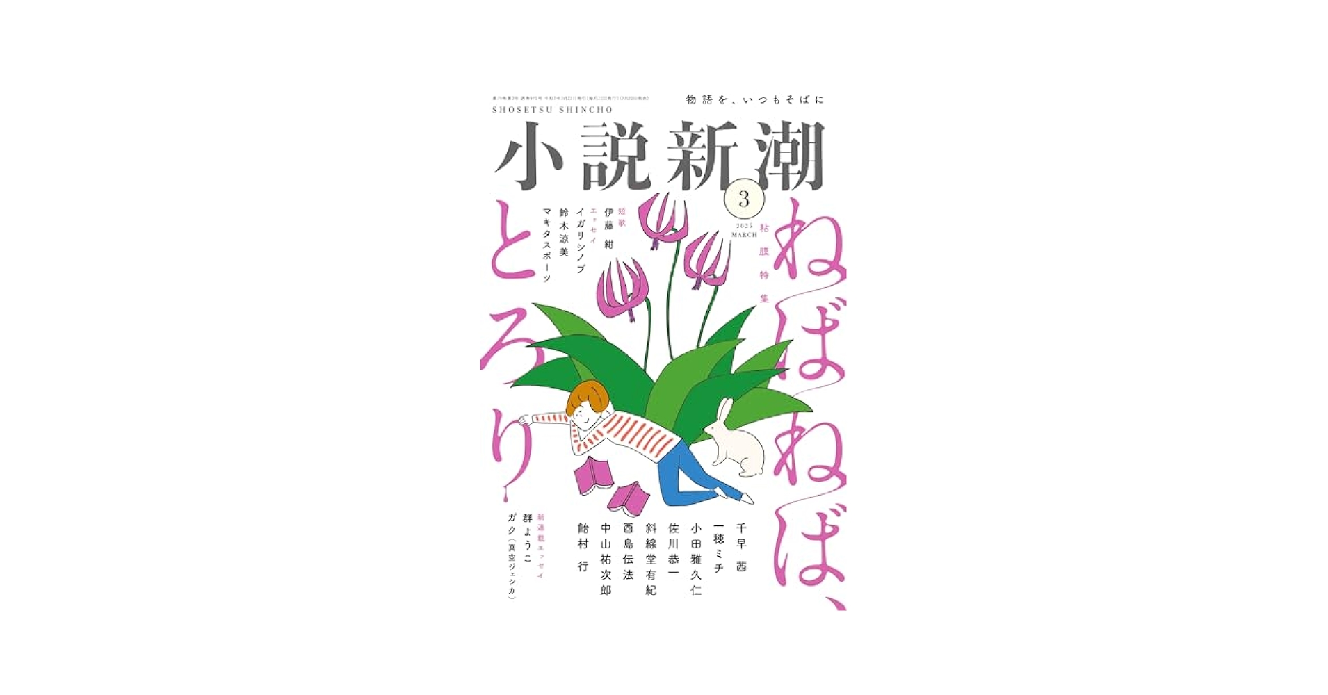 小説①(3) Amazon.co.jp: トップ・シークレット(3) 難攻不落の部門試験