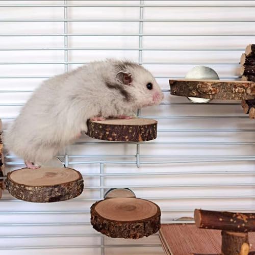 Image of 16 PCS Natural Wood Bird Perches Wooden Parrot Perch Stand Fork Toys Bird Cage Hanging Perch Platform for Macaws, Small Parakeets, Conures, Budgies, Finches